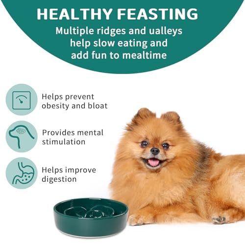 Slow Feeder Dog Bowls,Ceramic Slow Feeding Bowl for Small and Medium Breed,Anti Choking Puzzle Dog Food Bowl with Non-Slip Base for Fast Eater(Green, S-0.6CUP) - color: Green