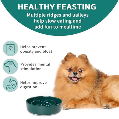 Slow Feeder Dog Bowls,Ceramic Slow Feeding Bowl for Small and Medium Breed,Anti Choking Puzzle Dog Food Bowl with Non-Slip Base for Fast Eater(Green, S-0.6CUP) - color: Green