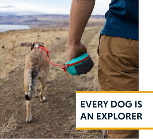 Ruffwear, Hitch Hiker Dog Leash, Adjustable Leash & Hitching System for Camping & Hiking, Aurora Teal - color: Aurora Teal