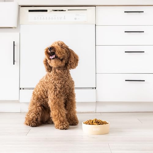 Pearhead Ceramic Dog Bowl – Neutral Taupe “Woof” Design, Holds 2.5 Cups, Non-Skid Stoneware Pet Feeding Dish, 20 oz, Medium - color: Taupe Woof Bowl, size: Medium