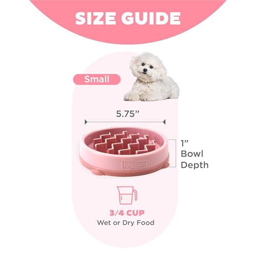 Outward Hound Fun Feeder Slo Bowl – Small 3/4-Cup Capacity, Slow Feeding, Small Dogs, Puppies & Cats, Non-Slip, Pink, Wave Pattern - color: Pink, size: Small