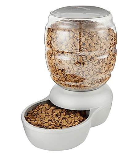 Petmate Replendish Gravity Feeder for Cats and Dogs, 4 Sizes Available, Mason Silver, 18 lb (24497) - color: Green, size: 18 LB