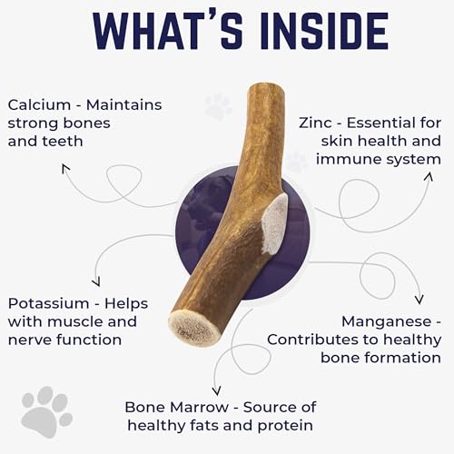 Devil Dog Pet Co. Elk Antlers for Dogs, Natural Dog Chew for Aggressive Chewers - Long Lasting and Odor Free - USA Sourced - Cleaner Teeth, Anxiety & Boredom Relief - Whole Monster 9"+ - Antler Bone - style: WHOLE - Monster - 1 Pack
