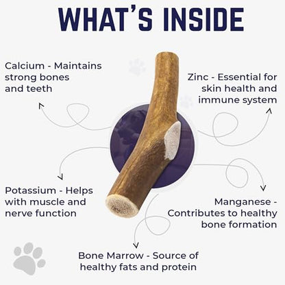 Devil Dog Pet Co. Elk Antlers for Dogs, Natural Dog Chew for Aggressive Chewers - Long Lasting and Odor Free - USA Sourced - Cleaner Teeth, Anxiety & Boredom Relief - Whole Monster 9"+ - Antler Bone - style: WHOLE - Monster - 1 Pack