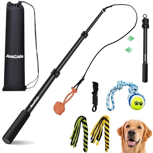 Flirt Pole for Dogs, Interactive Toys Tug-of-war for Pet, Durable Teaser Wand, Chase Toys with Rope Chewing Sticks, for Outdoor Exercise & Training - size: 2 switch-40.2Inch
