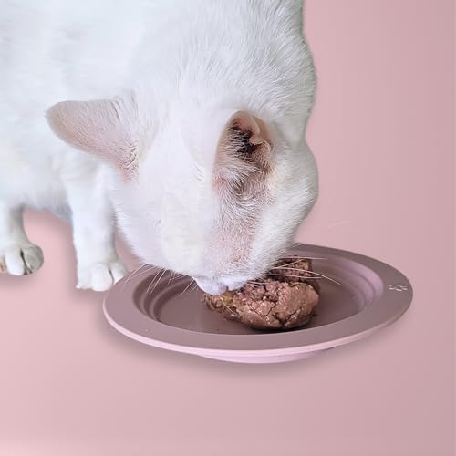 EcoLeo Whisker Friendly Cat Food Dish, Platinum Silicone, CKD, LFGB Certified Non-Toxic, Anti Whisker Fatigue, Low Profile, Shallow, Non Slip, Cat Dog Kitten Feeding Dish_Grey - color: Grey