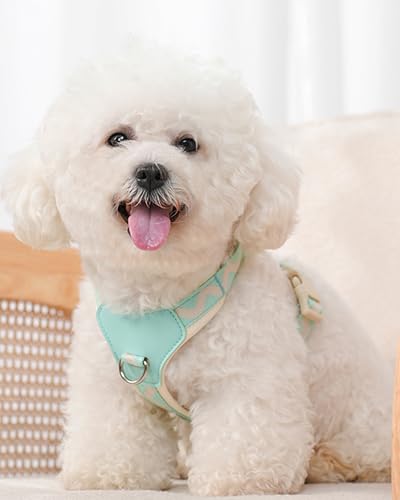 Petank Blue Small Dog Harness for Small Dogs, No Pull Dog Harness with 2 Leash Clips, Puppy Harness, Adjustable Dog Vest Harness (Blue, S) - color: Blue, size: S