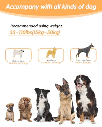 Hands Free Dog Leash with Seatbelt, 9.5 FT Adjustable Handheld/Crossbody/Waist Leash for Dog Walking, Reflective, 360° Tangle-Free, Shock Absorbing for Medium & Large Dogs. - color: Grey