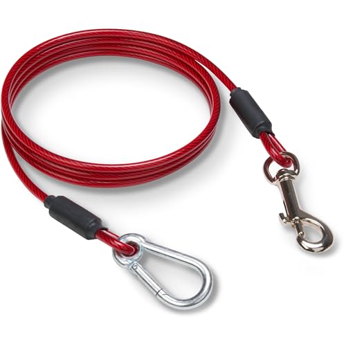 5 Foot Training Tie Out Cable - size: 5 Foot