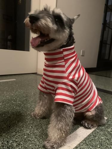 Turtleneck Dog Shirt Cute Doggie Embroidery Super Soft Dog Sweatshirt Stretchy Striped Puppy Pullover for Cats Small Medium Large Dogs (Red Striped, Medium) - color: Red Striped, size: Medium