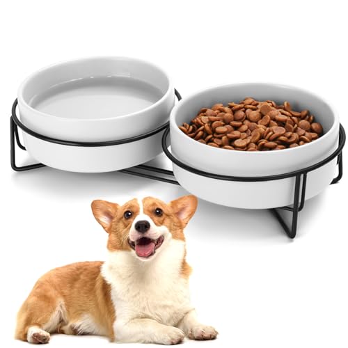 Ceramic Dog and Cat Bowl Set with Stand, 1.7 Cups Dog Food and Water Bowl Suitable for Small and Medium Pets (13.5oz White) - color: White, size: 13.5oz