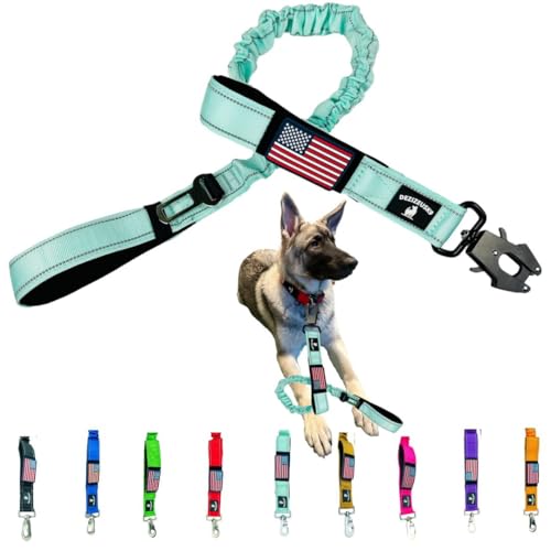 Heavy Duty Bungee Dog Leash - Shock Absorbing, Seat Belt Clip, Quick Release Frog Clasp, Double Padded Handles, for Large and Medium Dogs, Durable for Training, Walking, Car Safety, Outdoor Adventure - color: MINT BUNGEE FROG