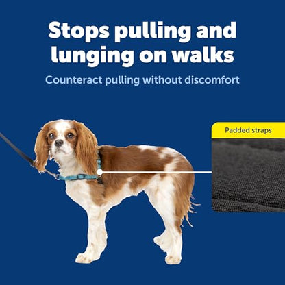 Petsafe Deluxe Easy Walk Harness, Small, Ocean Blue, Model:EWH-D-HC-S-OCN - color: Ocean, size: Small (Pack of 1)