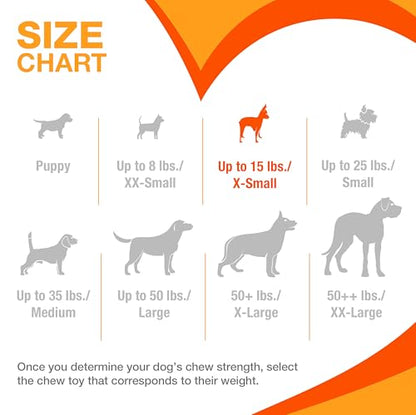 Nylabone Textured Dental Bone Flexi Chew Toy for Dogs, Dog Toys for Moderate Chewers, Chicken Flavor, X-Small - Up to 15 lbs, 1 Count - size: X-Small