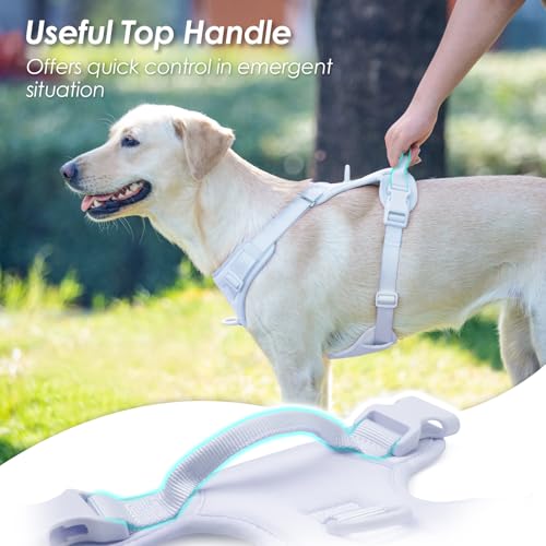 No Pull Dog Harness, Puppy Vest with Front Clip for Small Medium Large Sized Dog(Light Blue,M) - color: Light Blue, size: M(Neck:18.5-25.6", Chest:20.9-30.7")