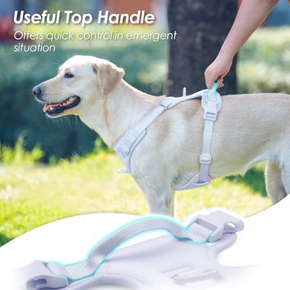 No Pull Dog Harness, Puppy Vest with Front Clip for Small Medium Large Sized Dog(Light Blue,M) - color: Light Blue, size: M(Neck:18.5-25.6", Chest:20.9-30.7")