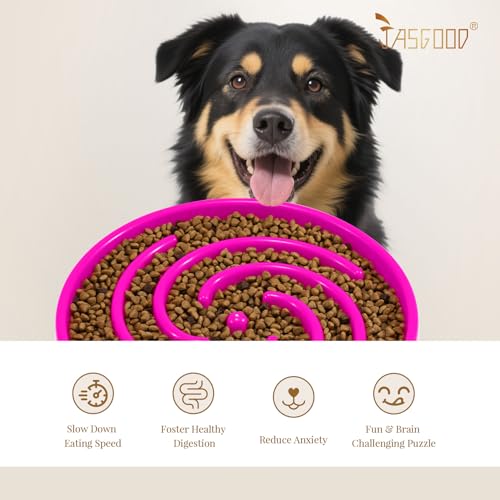 JASGOOD Slow Feeder Dog Bowl for Large Medium Dogs, Anti-Gulping Pet Slower Food Feeding Bowls, Stop Bloat, Preventing Choking, Healthy Design, R-Rose red - color: Hot pink