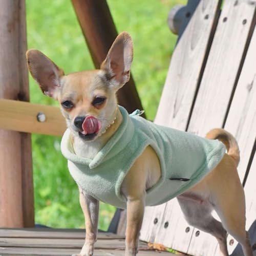JACKO & CO - Fleece Vest Dog Sweater with Leash Ring - Soft, Warm & Lightweight Pullover Coat for Small & Medium Dogs, Puppies & Cats - Cozy Fall/Winter/Spring Pet Jacket (Mint Green, Small 4-6lbs) - color: Mint Green, size: S (4-6lbs)