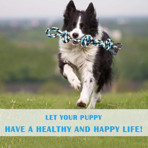 2026 New Dog Rope Toys 2 Nearly Indestructible Pet Toys for Medium to Large Breed, Dental Cleaning Chew Toys, Dogs Tug Toy for Boredom, Teething for Aggressive Chewers