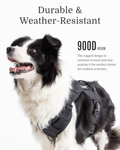 Fei & Eve MagEase 3-Second Magnetic Dog Harness | No-Pull Tactical Vest | Quick-Connect MOLLE w/3 Leash Clips | Heavy-Duty 900D Nylon | Adjustable w/Handle (Medium, Black) - color: Black, size: M
