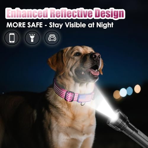 Martingale Dog Collar, Reflective No Pull Training Collar with Quick Release Buckle & USA Flag, Heavy-Duty Nylon, Adjustable for Small Medium Large Dogs (L,Hot Pink - color: Hot Pink with Flag, size: L (1" x 19"-26")