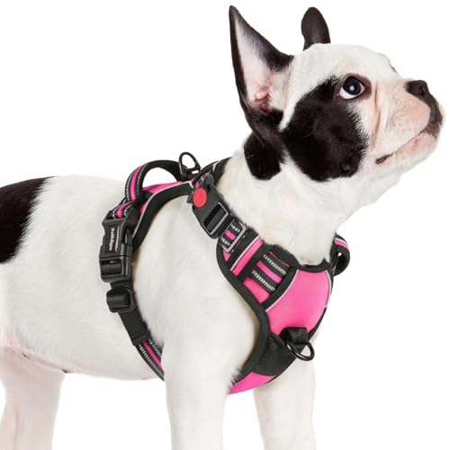 rabbitgoo Dog Harness Small Sized, No Pull Easy On & Off with 3 Buckles Pet Harness, Adjustable Soft Walking Vest with 2 Clips and Handle, Reflective for Small Dogs, Rose Pink, S - color: Rose Pink, size: Small