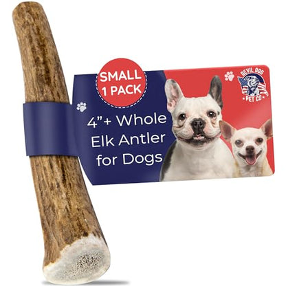 Devil Dog Pet Co. Elk Antlers for Dogs, Natural Dog Chew for Aggressive Chewers - Long Lasting and Odor Free - USA Sourced - Cleaner Teeth, Anxiety & Boredom Relief - Whole Small 4"+ - Antler Bone - style: WHOLE - Small - 1 Pack
