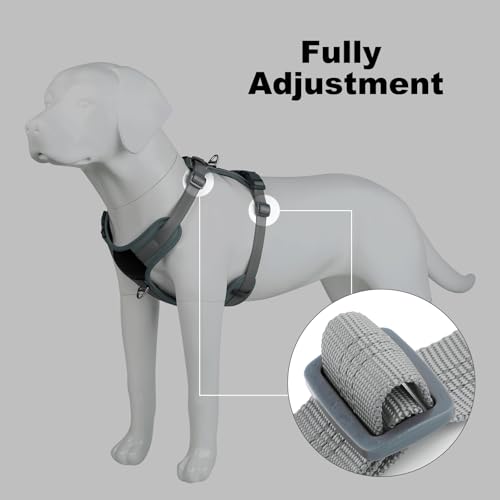 Plutus Pet No Pull Dog Harness, Release at Neck, Soft Padded, Reflective Adjustable Dog Vest Harness for Small, Medium, Large Dogs(Gray,M) - color: Gray, size: M