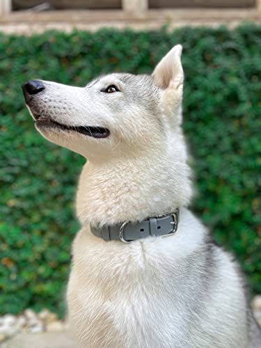Tuff Pupper Classic Heavy Duty Dog Collar | 10x Stronger Than Leather | 100% Waterproof & Odor Proof Dog Collar | Tough Rust-Proof All Metal Hardware - color: Cool Gray