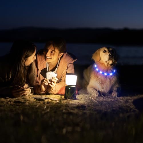 HIGO Light Up Dog Collar, Lightweight LED Dog Collar for Dogs Cats, USB Rechargeable LED Dog Necklace Light Makes Your Beloved Dogs Glow in the Dark (Blue-Silicone) - color: Blue-Silicone
