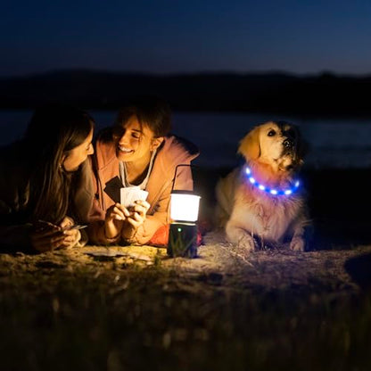 HIGO Light Up Dog Collar, Lightweight LED Dog Collar for Dogs Cats, USB Rechargeable LED Dog Necklace Light Makes Your Beloved Dogs Glow in the Dark (Blue-Silicone) - color: Blue-Silicone