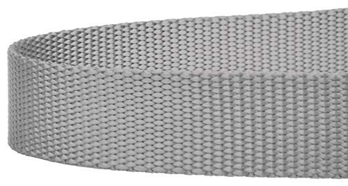 Country Brook Petz - Vibrant 17 Color Selection - Heavyduty Doublehandle Nylon Leash (6 Foot, 3/4 Inch Wide, Silver) - color: Silver