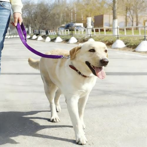Secure Buckle Dog Seat Belt – 15.7~21.7 Inches Adjustable Pet Tether for Vehicle Safety - Purple