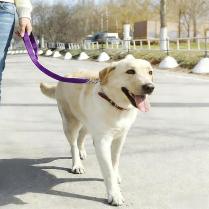 Secure Buckle Dog Seat Belt – 15.7~21.7 Inches Adjustable Pet Tether for Vehicle Safety - Purple