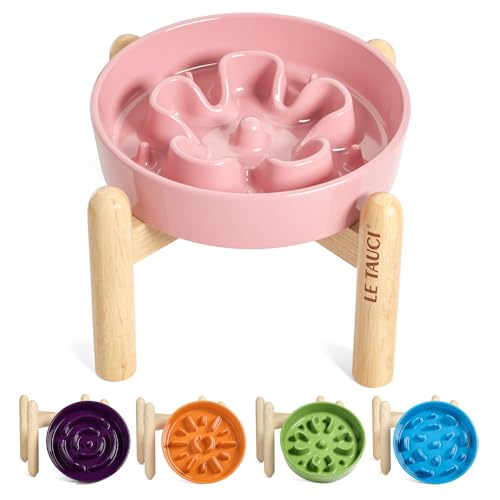 LE TAUCI Ceramic Slow Feed Dog Bowls, Elevated for Small Breeds, Anti-Gulping, Non-Slip, 6 inch, Pink - color: Pink Bloom+Stand, size: S-0.6 Cups