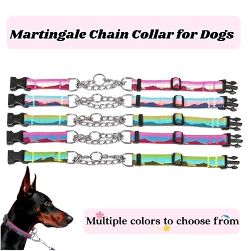 Martingale Dog Collars with Stainless Steel Chain, Reflective No Pull Walking Training Collar with Quick Release Buckle, Adjustable Slip Chain Nylon Dog Collars for Small Medium Large Dogs - color: Green and blue, size: Small