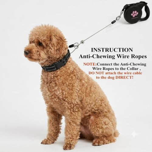 Chew Proof Retractable Dog Leash for Small Dogs up to 33lbs, 10ft Heavy Duty Dog Lead with Anti-Chewing Steel Wire Rope, Tangle-Free, One-Hand Brake & Lock, Black S - color: Black, size: Small