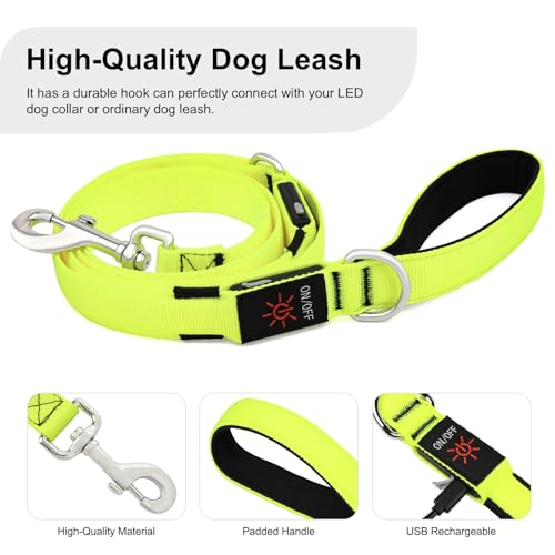 Colaseeme LED Light Up Dog Leash, USB Rechargeable (6FT,Green) | Glow in dark, reflective, USB-C rechargeable, bright LED for night safety, fits medium to large dogs - color: Green, size: 6FT