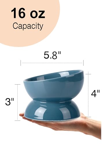 ABRUTY Cat Water Bowl, 16 OZ Ceramic Elevated Cat Bowls, 15° Tilted and Raised Pet Food Dish, Anti Vomiting Protect Pets' Spines and Whisker Fatigue, Set of 2, Blue - color: Blue, size: 2 Pack