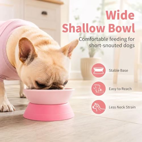 Tilted Angle Dog Bowls - Slanted Resin Dog Cat Food Bowl, Non-Slip Pet Feeder with Detachable Silicone Stand (Pink, L - 4 Cup) - color: Pink, size: L - 4 Cup