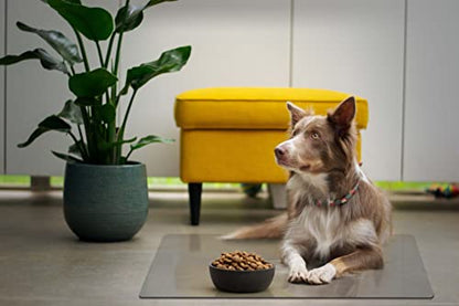 Clear Pet Bowl Mat, USA Made, Safe, Waterproof, 18 x 24 Inch, 2mm Thick Smooth Vinyl, Floor Protection, Dog Cage Mat, Under Aquarium Mat - color: Crystal, size: 18 x 24 Inches