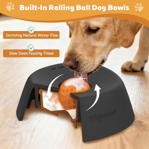 Yipetor Slow Feeder Dog Bowls for Liquid Treat, 【Enrichment Ball-Roll】 Bone Broth Dog Lick Bowl, 3/4 Cup Yogurt Pup Lick Toy for Large Medium Small Breeds Dietary Supplement/Post-op Nutrition - color: black