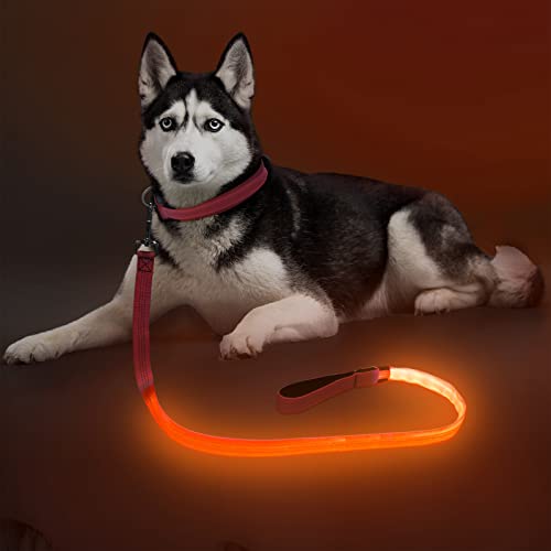 Colaseeme LED Light Up Dog Leash, USB Rechargeable (4FT,Orange) | Glow in dark, reflective, USB-C rechargeable, bright LED for night safety, fits small to large dogs - color: Orange, size: 4FT