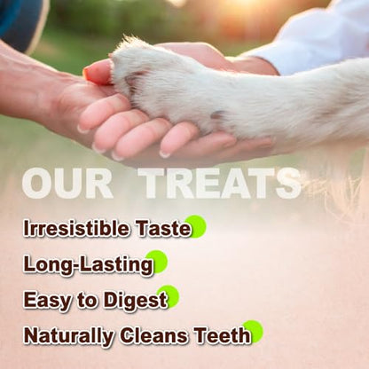 A Freschi srl Turkey Tendons for Dogs, USA-Sourced Human Grade, Rawhide-Free Long-Lasting Puppy Chews, All Natural Hypoallergenic Dog Treats for Small Breeds, 3.53 oz Pack Strips - size: 3.53 Ounce (Pack of 1)