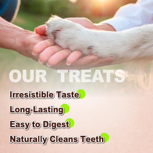 A Freschi srl Turkey Tendons for Dogs, USA-Sourced Human Grade, Rawhide-Free Long-Lasting Puppy Chews, All Natural Hypoallergenic Dog Treats for Small Breeds, Strips, 10 Pack Box - size: 10 Count (Pack of 1)