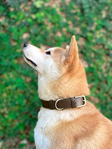 Tuff Pupper Classic Heavy Duty Dog Collar | 10x Stronger Than Leather | 100% Waterproof & Odor Proof Dog Collar | Tough Rust-Proof All Metal Hardware - color: Dark Brown
