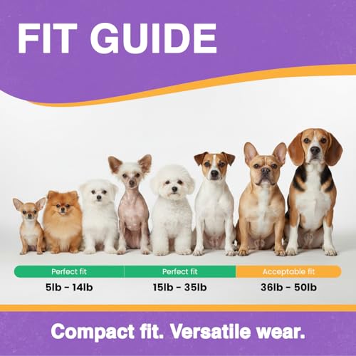 Educator ME-300 Micro E Collar for Dog Training with Remote - 1/3 Mile Range, Waterproof, 100 Blunt Stimulation Levels, Tone or Vibration Mode, Night Tracking Light for Small, Medium & Large Dogs - size: 1 Dog - ME-300
