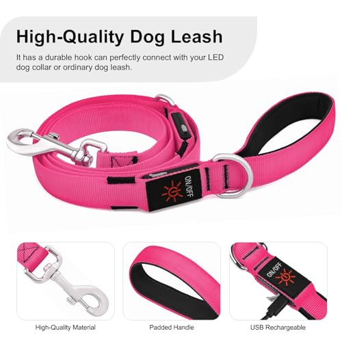 Colaseeme LED Light Up Dog Leash, USB Rechargeable (6FT,Pink) | Glow in dark, reflective, USB-C rechargeable, bright LED for night safety, fits medium to large dogs - color: Pink, size: 6FT