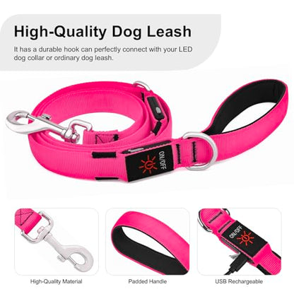 Colaseeme LED Light Up Dog Leash, USB Rechargeable (6FT,Pink) | Glow in dark, reflective, USB-C rechargeable, bright LED for night safety, fits medium to large dogs - color: Pink, size: 6FT
