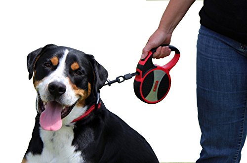 Alcott Kong Terrain Retractable Dog Leash, Large, Grey, 16' Long - color: Grey, size: Large 16'